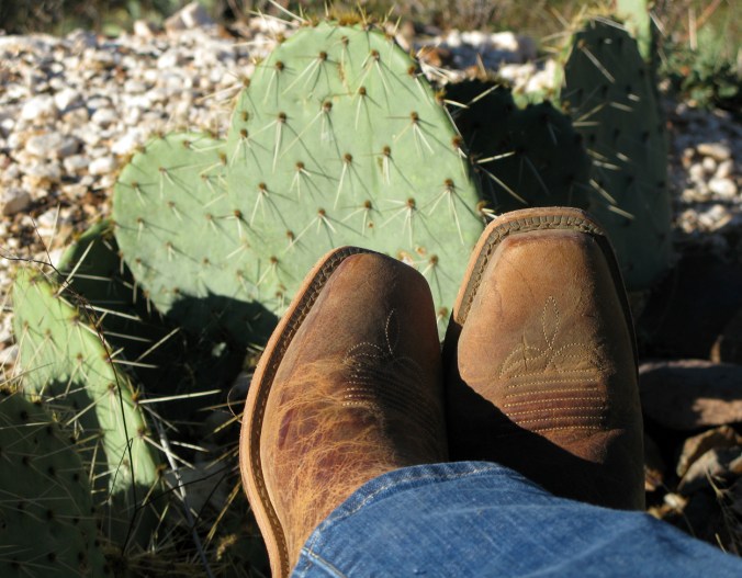 Boots and cactus