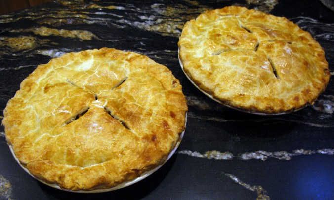 The Holidays vs. Blogging: A Temporary Hitch in My Get Along