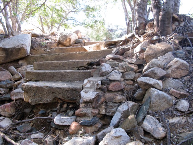 Stay Out and Stay Alive