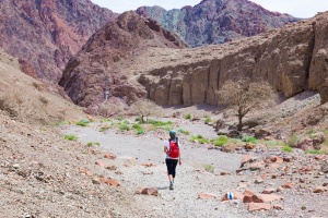 Woman backpacker hiking desert canyon.